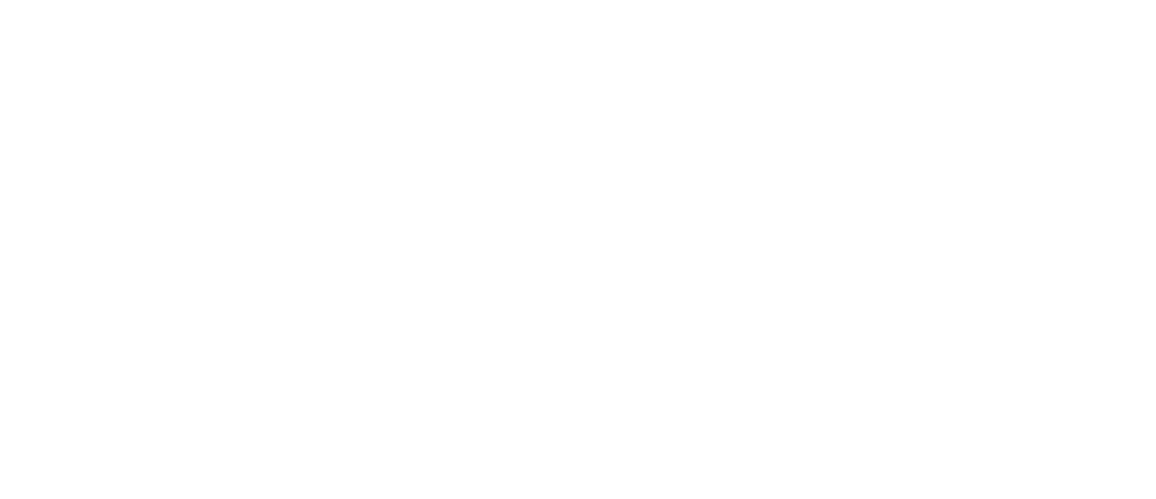 1spirit logo